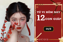 Tử vi hàng ngày hôm nay 14/2 của 12 con giáp: Tỵ gia đạo ấm êm, Thân sự nghiệp như ý
