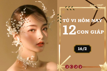 Tử vi hàng ngày hôm nay 16/2 của 12 con giáp: Mùi công việc trôi chảy, Tuất tránh xa tranh chấp