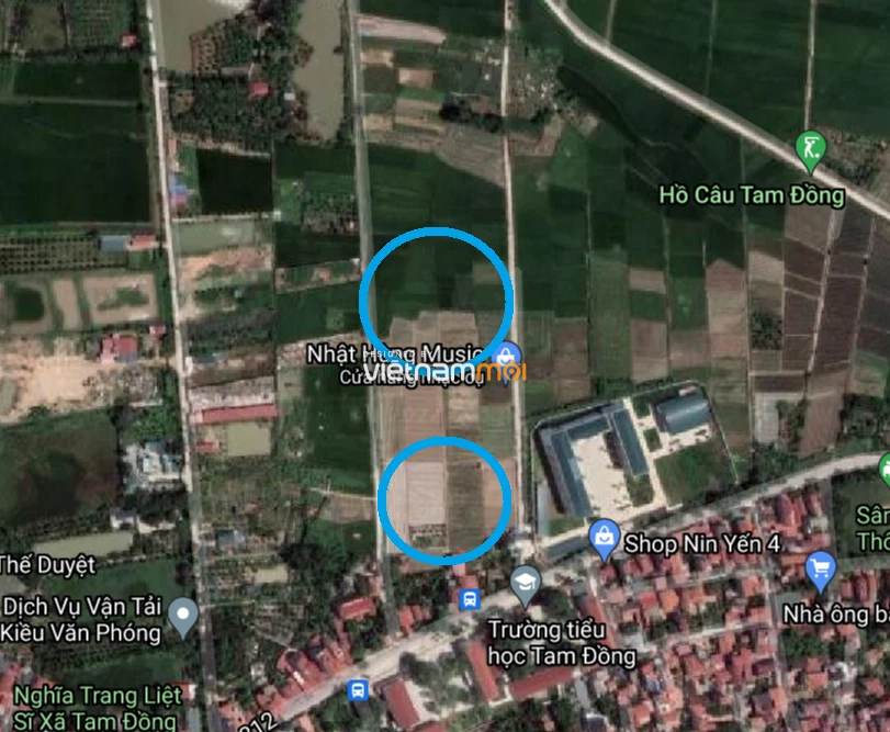 Đất dính quy hoạch ở xã Tam Đồng, Mê Linh, Hà Nội - Ảnh 2.