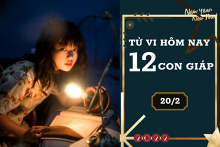 Tử vi hàng ngày hôm nay 20/2 của 12 con giáp: Hợi tài lộc khởi sắc, Dần thiếu sự bứt phá