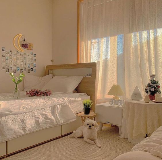 Tử vi hàng ngày hôm nay 22/2 của 12 con giáp: Sửu gặp nhiều may mắn, Thìn tình cảm viên mãn - Ảnh 1. Tử vi hàng ngày hôm nay 22/2 của 12 con giáp: Sửu gặp nhiều may mắn, Thìn tình cảm viên mãn - Ảnh 1.
