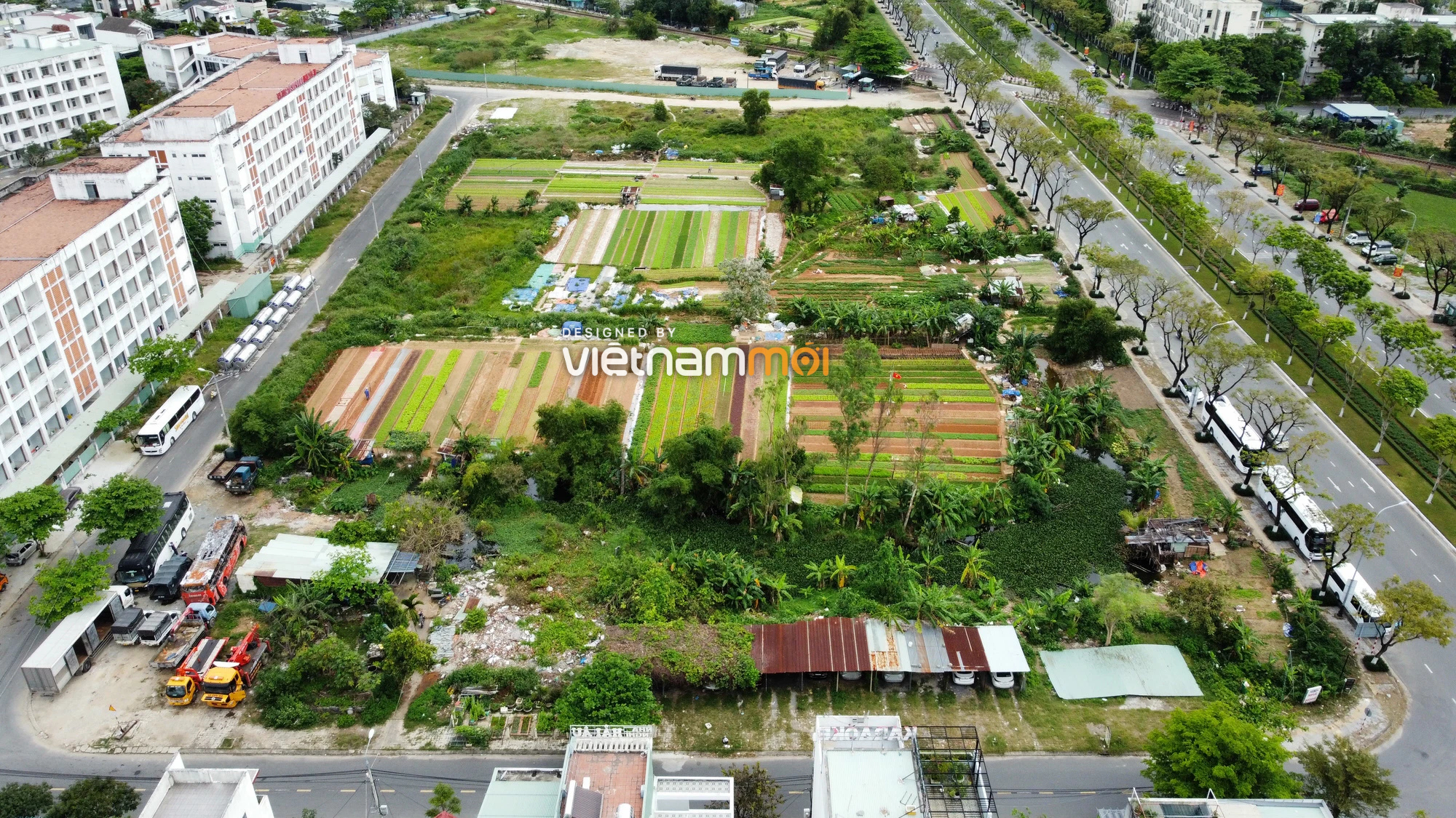 Khu đất gần UBND quận Liên Chiểu, gần biển được đề nghị đấu giá xây dựng trung tâm thương mại ở Đà Nẵng - Ảnh 3. Khu đất gần UBND quận Liên Chiểu, gần biển được đề nghị đấu giá xây dựng trung tâm thương mại ở Đà Nẵng - Ảnh 3.