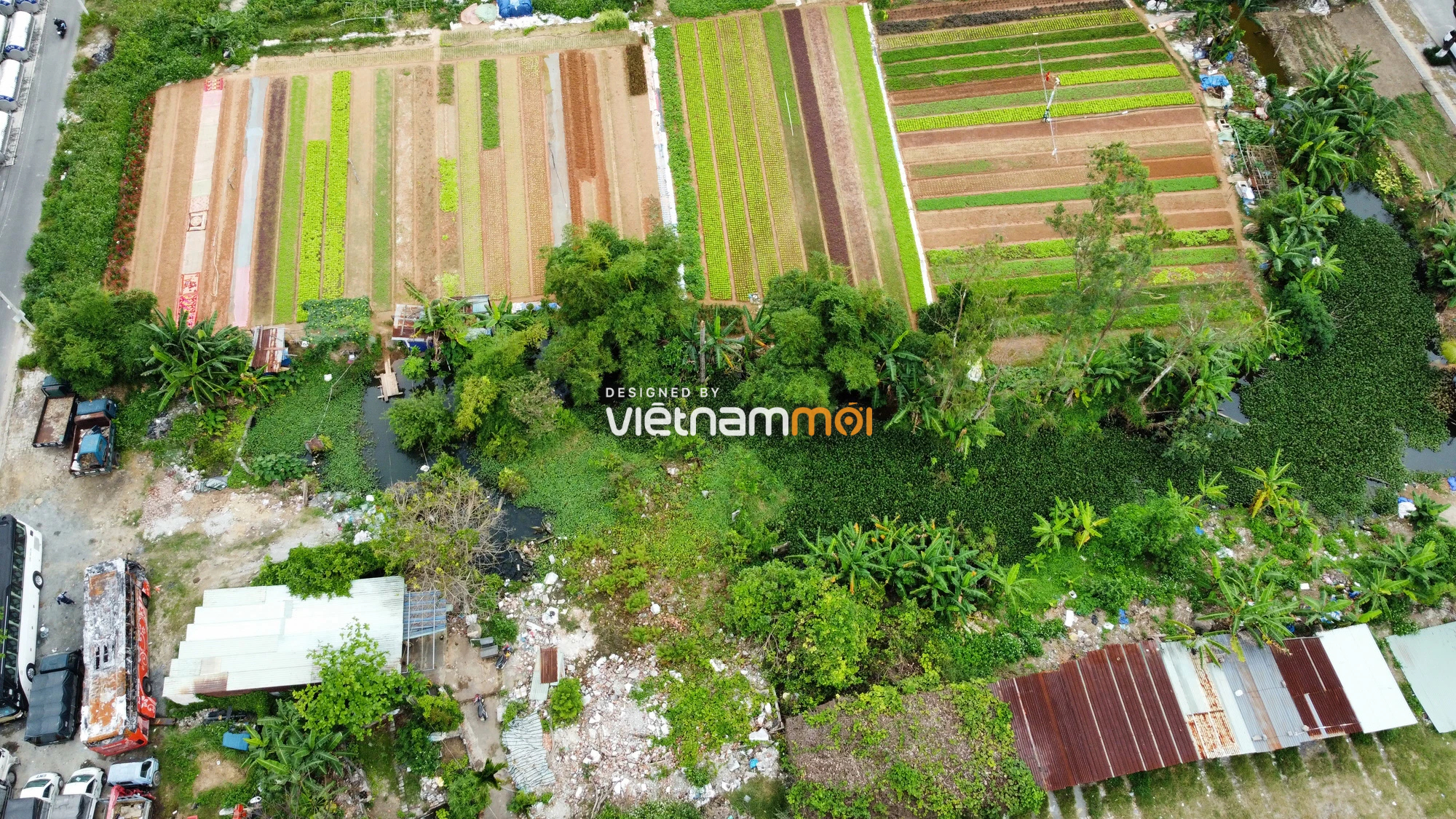 Khu đất gần UBND quận Liên Chiểu, gần biển được đề nghị đấu giá xây dựng trung tâm thương mại ở Đà Nẵng - Ảnh 4. Khu đất gần UBND quận Liên Chiểu, gần biển được đề nghị đấu giá xây dựng trung tâm thương mại ở Đà Nẵng - Ảnh 4.