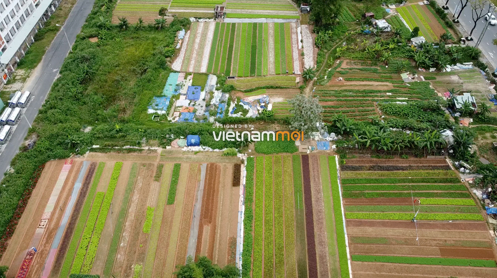 Cận cảnh khu đất vàng được đề nghị đấu giá xây trung tâm thương mại ở Đà Nẵng - Ảnh 5. Cận cảnh khu đất vàng được đề nghị đấu giá xây trung tâm thương mại ở Đà Nẵng - Ảnh 5.