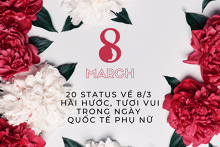 Top 20 status về 8/3 hài hước, đọc là cười năm 2022