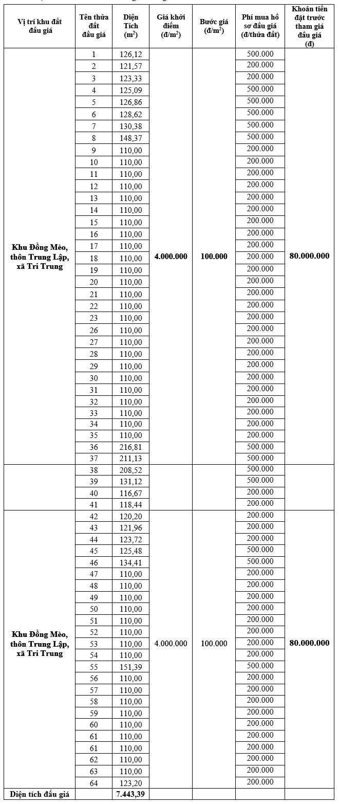 Hà Nội sắp đấu giá 77 thửa đất, khởi điểm từ 4 triệu đồng/m2 - Ảnh 1. Hà Nội sắp đấu giá 77 thửa đất, khởi điểm từ 4 triệu đồng/m2 - Ảnh 1.