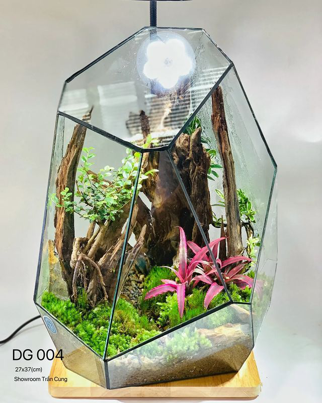 Gợi ý top 3 quà tặng 8/3 độc đáo không thể bỏ qua năm 2022 - Ảnh 1. Gợi ý top 3 quà tặng 8/3 độc đáo không thể bỏ qua năm 2022 - Ảnh 1.