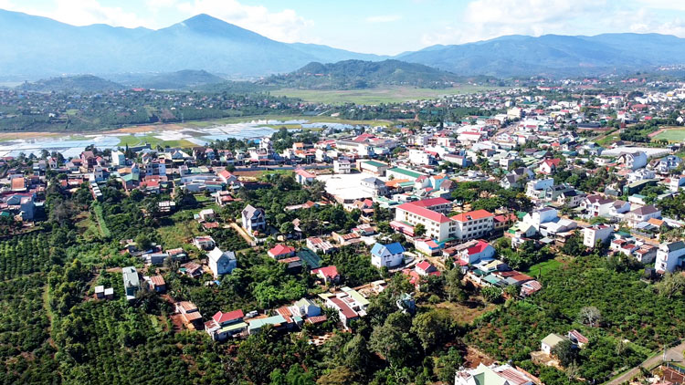 Huyện Di Linh, Lâm Đồng sẽ thu hồi 172 ha đất trong năm nay - Ảnh 1. Huyện Di Linh, Lâm Đồng sẽ thu hồi 172 ha đất trong năm nay - Ảnh 1.