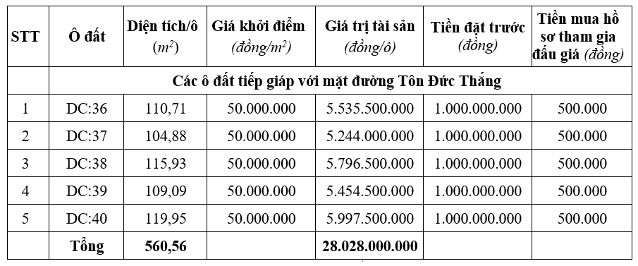 TP Vĩnh Yên đấu giá 5 ô đất giáp đường Tôn Đức Thắng, từ 50 triệu đồng/m2 - Ảnh 1. TP Vĩnh Yên đấu giá 5 ô đất giáp đường Tôn Đức Thắng, từ 50 triệu đồng/m2 - Ảnh 1.