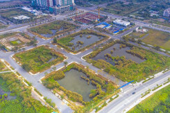 TS Cấn Văn Lực: Đấu giá đất tạo mặt bằng không lành mạnh, gây thách thức cho thị trường BĐS
