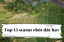 Top 15 status chốt đất hay, đáng để tham khảo năm 2022