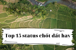 Top 15 status chốt đất hay, đáng để tham khảo năm 2022