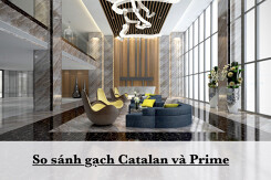 Phân tích, so sánh gạch Catalan và Prime chi tiết nhất 2022