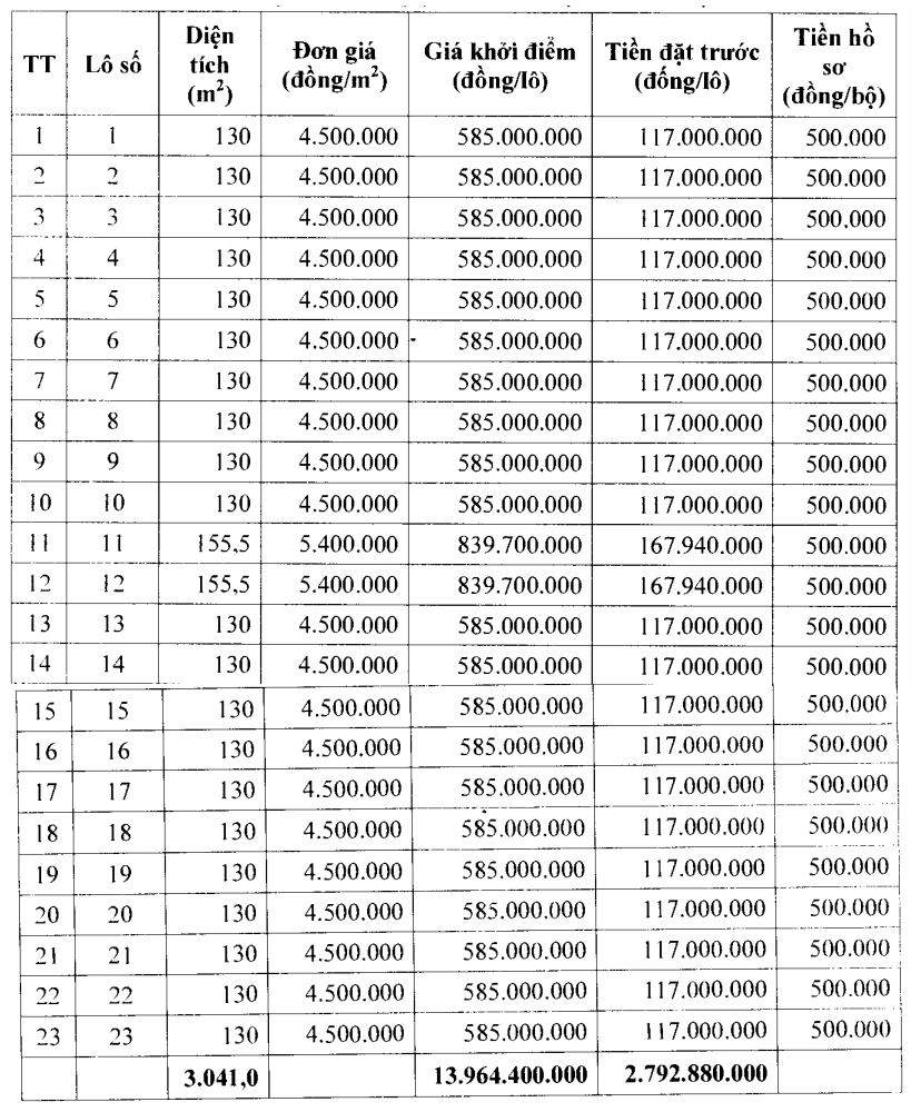Thanh Hóa đấu giá 23 lô đất ở tại Nga Sơn, khởi điểm từ 585 triệu đồng/lô - Ảnh 1.
