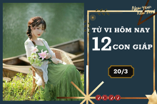 Tử vi hàng ngày hôm nay 20/3 của 12 con giáp: Mão tình duyên chững lại, Dậu gặp nhiều rắc rối