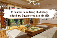 Có nên làm hồ cá trong nhà không? Một số lưu ý quan trọng bạn cần biết