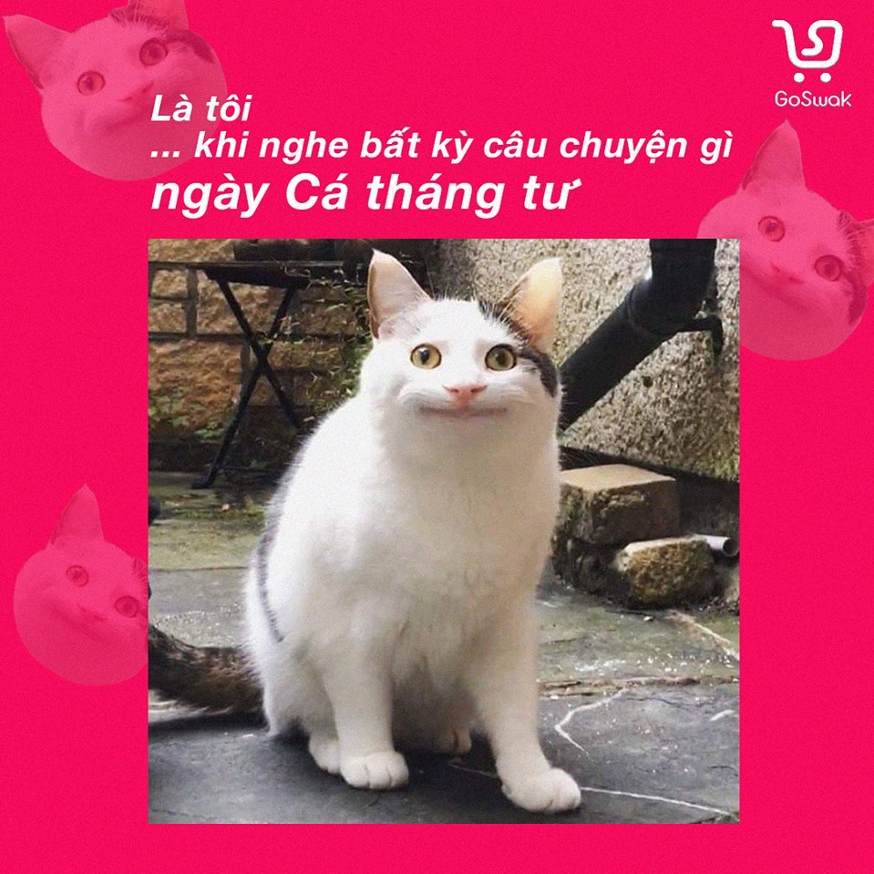 Top những bức ảnh chế ngày 1/4 hài hước nhất năm 2022 - Ảnh 5. Top những bức ảnh chế ngày 1/4 hài hước nhất năm 2022 - Ảnh 5.