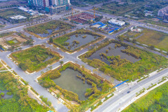 Sẽ thu hồi dự án với doanh nghiệp không nộp tiền trúng thầu đấu giá đất Thủ Thiêm