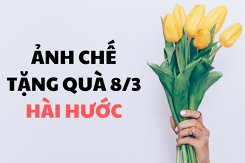 Top những hình ảnh chế tặng quà 8/3 hài hước, mới nhất năm 2022