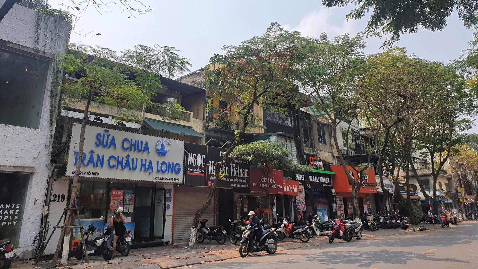 Cận cảnh khu đất dự án của Indeco chậm tiến độ hơn chục năm ở Cầu Giấy - Ảnh 11. Cận cảnh khu đất dự án của Indeco chậm tiến độ hơn chục năm ở Cầu Giấy - Ảnh 11.