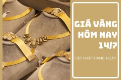 Giá vàng hôm nay 14/7: Phục hồi trở lại từ 50.000 đồng/lượng đến 100.000 đồng/lượng