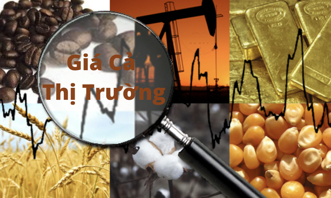 Cập nhật những thông tin mới nhất về giá cả thị trường hàng ngày