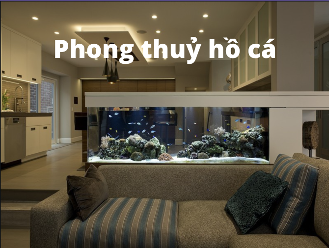 Tổng hợp cách đặt hồ cá phong thuỷ theo mệnh của gia chủ mới nhất