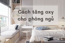 Top 5 cách tăng oxy cho phòng ngủ đơn giản và hiệu quả