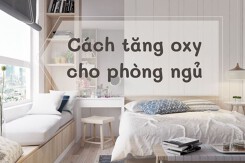 Top 5 cách tăng oxy cho phòng ngủ đơn giản và hiệu quả
