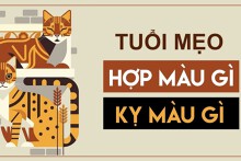 Tuổi Mẹo hợp màu gì: Chi tiết màu sắc theo can chi, ngũ hành