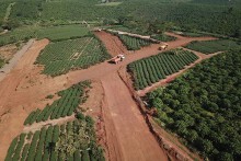 Cảnh báo tình trạng dùng sổ đỏ giả để giao dịch đất đai ở Lâm Đồng