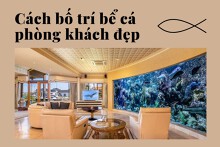 Cách bố trí bể cá phòng khách đẹp giúp gia chủ ‘mở cung tài lộc’