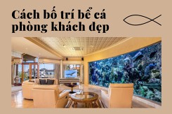 Cách bố trí bể cá phòng khách đẹp giúp gia chủ ‘mở cung tài lộc’