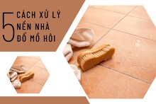 Bật mí 5 cách xử lý nền nhà đổ mồ hôi đơn giản có thể bạn chưa biết