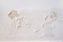 Cách xử lý tường bị phồng rộp hiệu quả