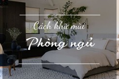 Top 5 cách khử mùi hôi trong phòng ngủ đơn giản mà hiệu quả