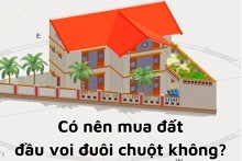 Có nên mua đất ‘đầu voi đuôi chuột’ để xây nhà không?