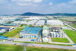 Chuyển 22 ha đất trồng lúa làm dự án CCN Đông Hải, Thái Bình