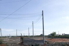 Hà Nội chấn chỉnh hoạt động đấu giá tài sản