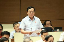 ĐBQH quan ngại sức khỏe các tập đoàn kinh tế lớn khi một số 'đại bàng' gãy cánh