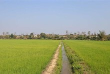 TP HCM: Khó khăn trong chuyển đổi đất nông nghiệp sang đất đô thị
