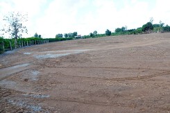 Bà Rịa - Vũng Tàu rà soát phân lô bán nền đất nông nghiệp ở Đất Đỏ