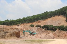 Bắc Giang: Chuyển mục đích sử dụng 64 ha đất rừng để thực hiện 7 dự án đầu tư