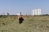 Phó Thủ tướng yêu cầu rà soát, kiên quyết thu hồi 'dự án treo', 'quy hoạch treo'