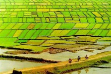 Từ liên kết vùng đến liên kết phát triển - Bài 2: Thách thức từ 'mạnh ai nấy làm'