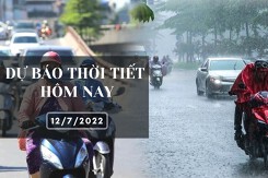 Dự báo thời tiết hôm nay 12/7/2022: Hà Nội, Đà Nẵng và TP HCM đều có mưa, cục bộ có mưa to