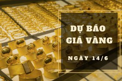 Dự báo giá vàng 14/6: Giảm đều ở cả trong nước và thế giới?