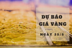 Dự báo giá vàng 25/5: Tiếp tục tăng theo đà thế giới?