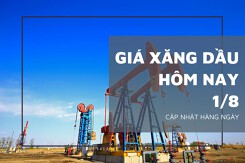 Giá xăng dầu hôm nay 1/8: Quay đầu tăng hơn 2% trên sàn Tokyo
