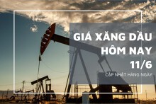 Giá xăng dầu hôm nay 11/6: Tiếp đà giảm, ghi nhận mức điều chỉnh gần 1%